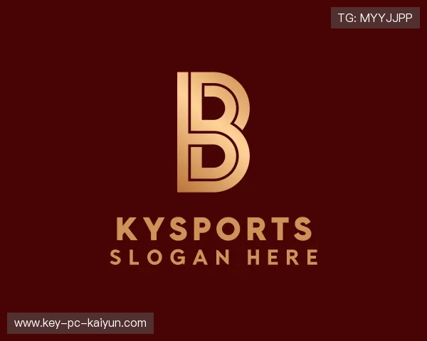 介绍开云电竞官网活动